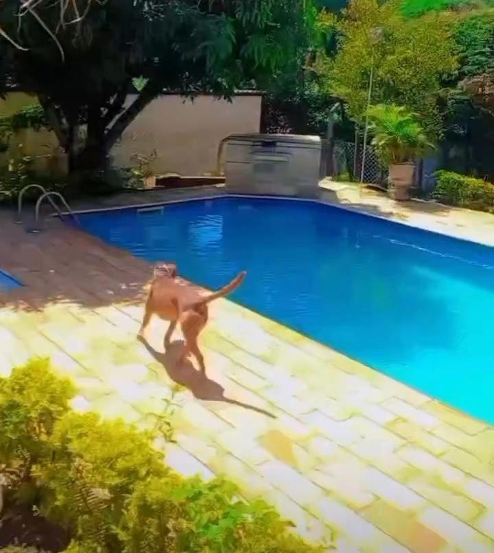 Villa Casa Com Piscina - Itupeva Exterior foto